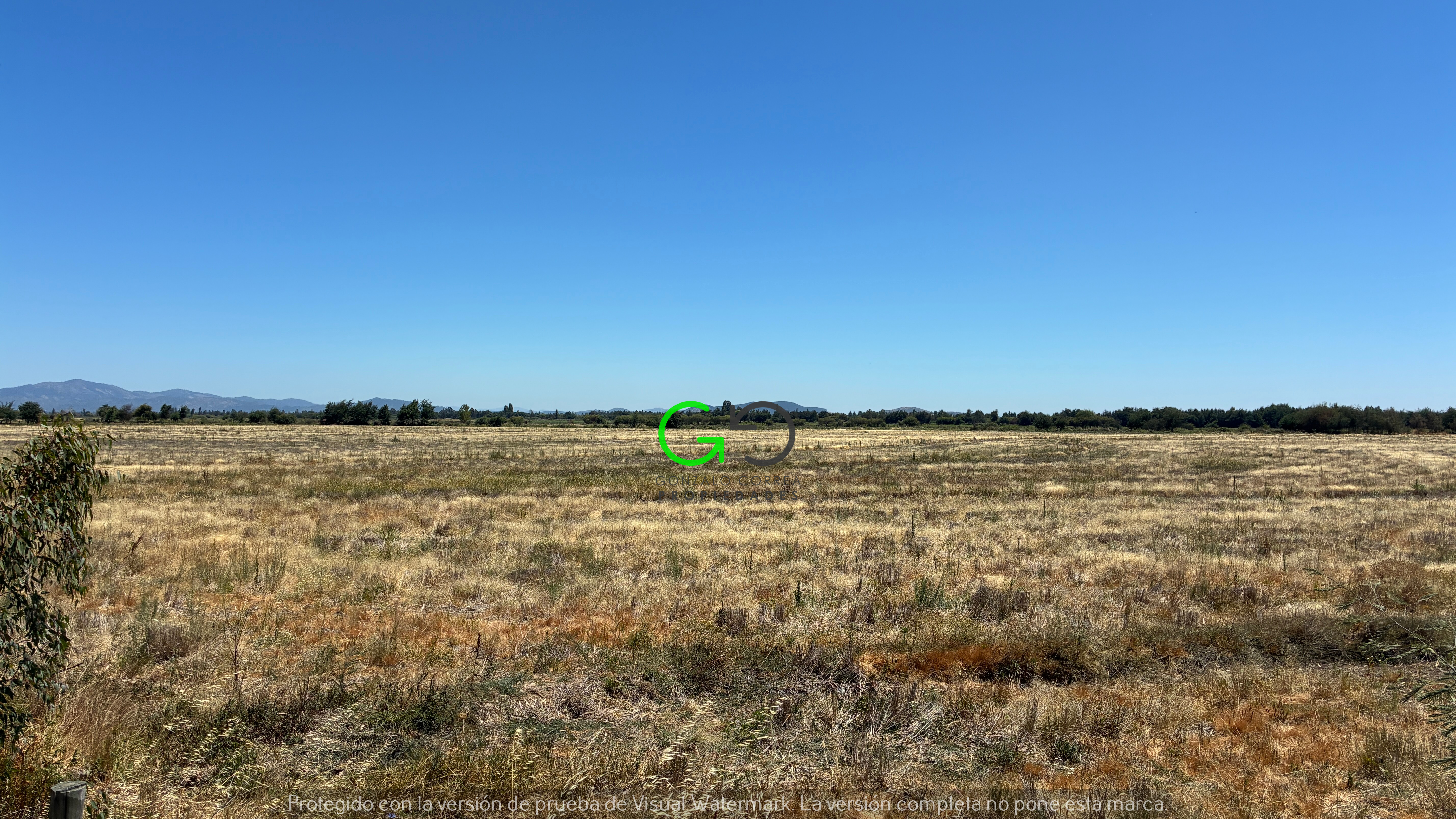 Campo Bodega (48 Há)