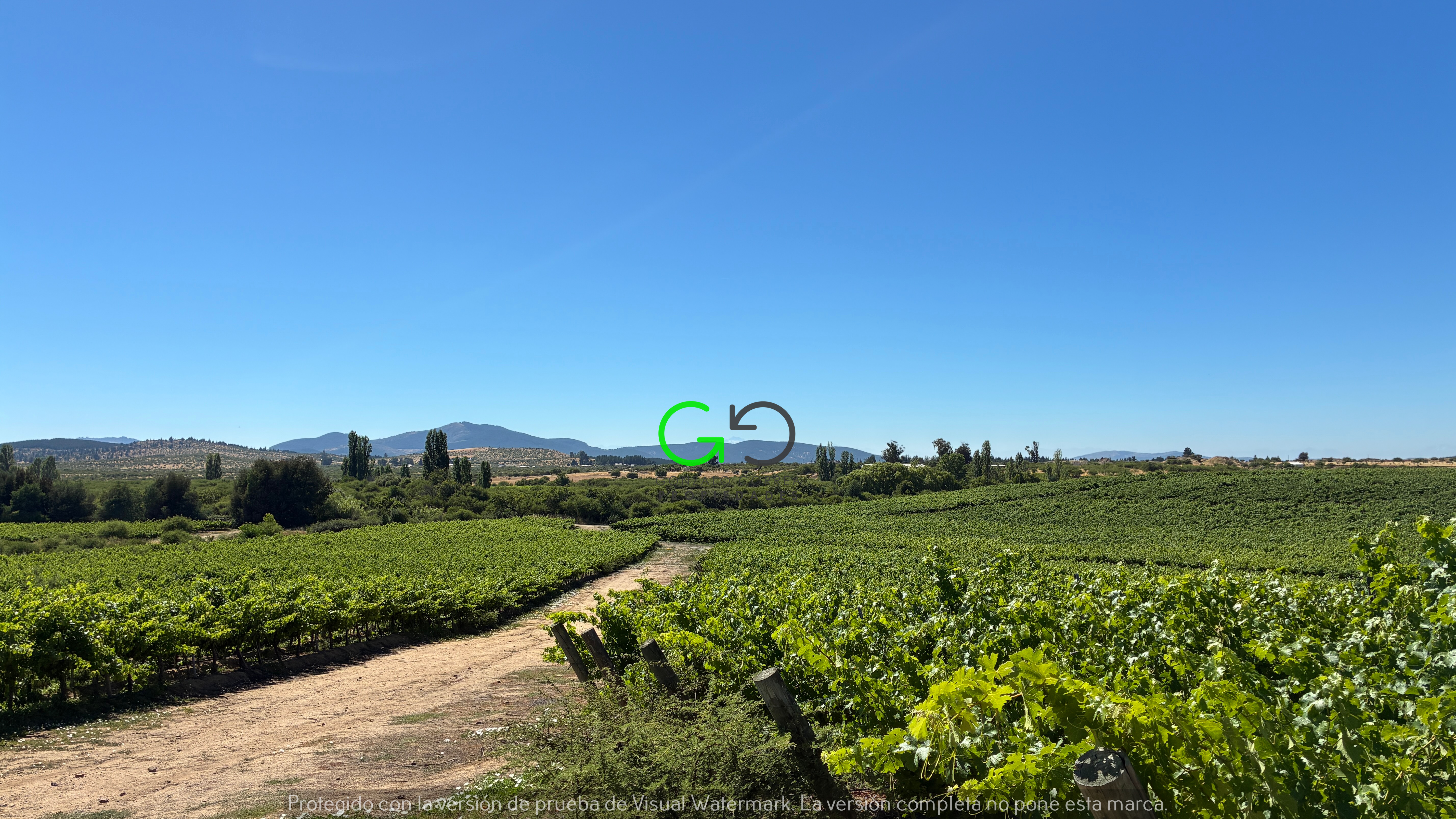 Campo Cauquenes (169 há)